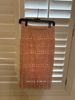 Rachel Parcell Blush Pink Crochet Pencil Skirt